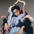 진영 티브이데일리