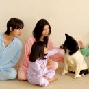 마른파이브 이미지