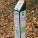 의병장 장지현 장군 묘역전경 | 2015.11.07 무주 적상산 단풍산행