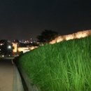 팔달공원 이미지