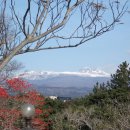 여미지식물원 이미지