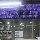 재수식당 | 수원 독학재수 선택 고민? 이투스247 수원시청점 방문 후기