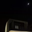 비엔또솔비치 이미지