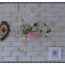 로즈마리세탁소 이미지