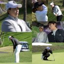 더퀸즈 bnt뉴스
