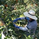 한진 제2농장 이미지