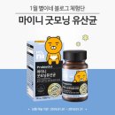 굿모닝건강스토어 이미지