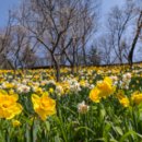 큰길어린이공원화장실 이미지