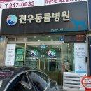견우동물병원 이미지
