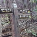 명곡동250 이미지