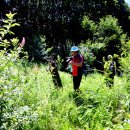 김영래농장 이미지