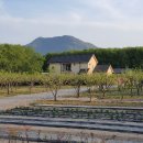 수종농장 이미지