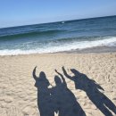 송림세탁소 | 푱푱하다 푱푱한