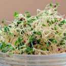 군포굿닥터동물병원 이미지