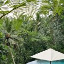 진카페(zin cafe) 이미지