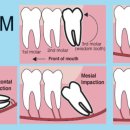 새날치과의원 이미지