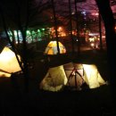 자연과우리 이미지