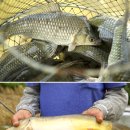 암반수낚시터 이미지