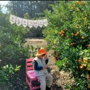 서광리-22 이미지