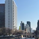 도림 | 롯데호텔 서울ㅣ중식당 '도림' 혼밥, 아쉬웠던 후기