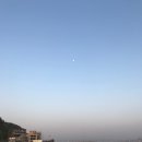 알통닭강정 이미지