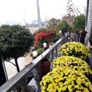 해평단골식당 이미지