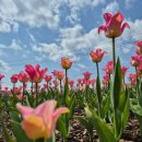 낙동강관리본부 화명생태공원 12 이미지