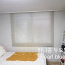블라인드