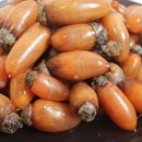 일등푸드 이미지