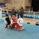 위너 복싱 이미지