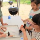 쌍림초등학교 이미지