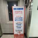 천안공주낙농농협동물병원 | 암컷 고양이 중성화 부숭공주 '마곡 땅콩동물병원' 에서 중성화 수술받다