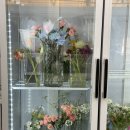 사파동420 이미지