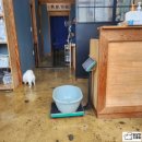 양원주동물병원 이미지