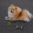 에덴수퍼 | 침대패드 추천 에덴블랑 알러지케어침대패드 이불패드