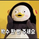 돌펀치복싱체육관 이미지