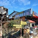 문학&생명관 이미지