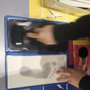 굿피트 코리아 제1사업본부 이미지