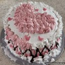 UR(대전광역시)-[청사로]-상-29 | 성심당 부띠끄 다녀옴 (웨이팅, 주차, 꿀팁) / 대전 두루치기 맛집 동원칼국수 / 동탄 삼면이바다 후기