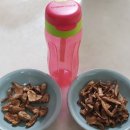 차니빌 Daum카페
