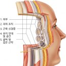 해소해한의원 | 정안침 한의원 볼꺼짐 부작용 막는 3가지 기준