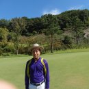 서화상회 이미지