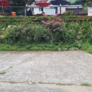 경호강뷰펜션 이미지