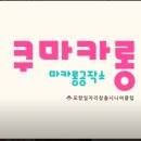 쿠마카롱 이미지
