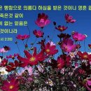 코로나에도 부흥하는 청라 ‘기쁨의교회’ 이미지