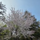 씨유 미아미아점 | [전북 전주] 전주 아이와 가볼만한 곳 '전주 동물원' 운영시간 위치 입장료 물품보관함 동물지도 관람후기