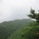 수도산 자연휴양림 이미지