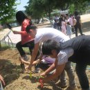 대전대문초등학교 이미지