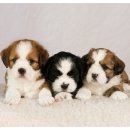 마곡 행정사 사무소 이미지