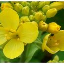 다같이모여라 이미지